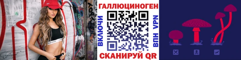 Купить где  Фролово  Псилоцибиновые грибы Magic Shrooms 